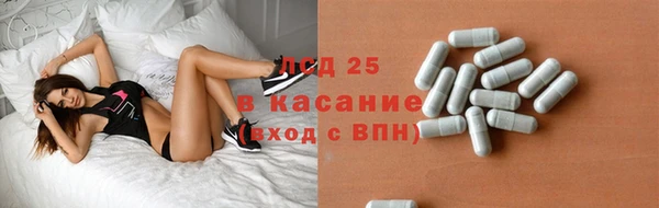 дмт Гусев
