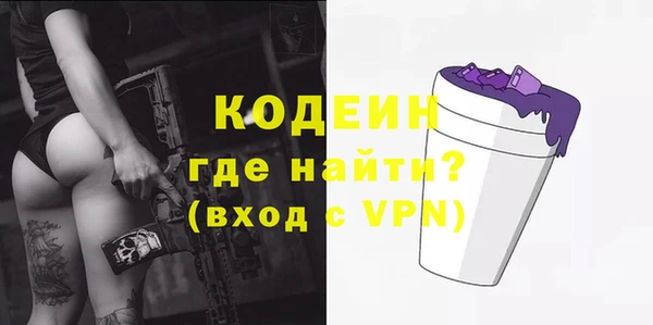 дмт Гусев