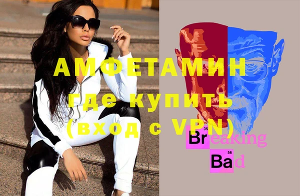 дмт Гусев