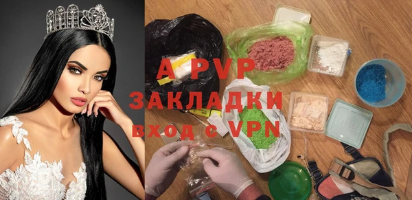 дмт Гусев