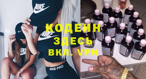 дмт Гусев