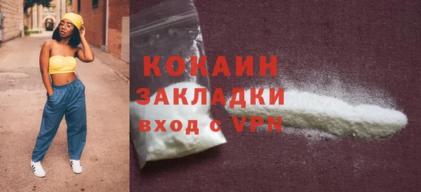 дмт Гусев