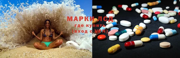дмт Гусев