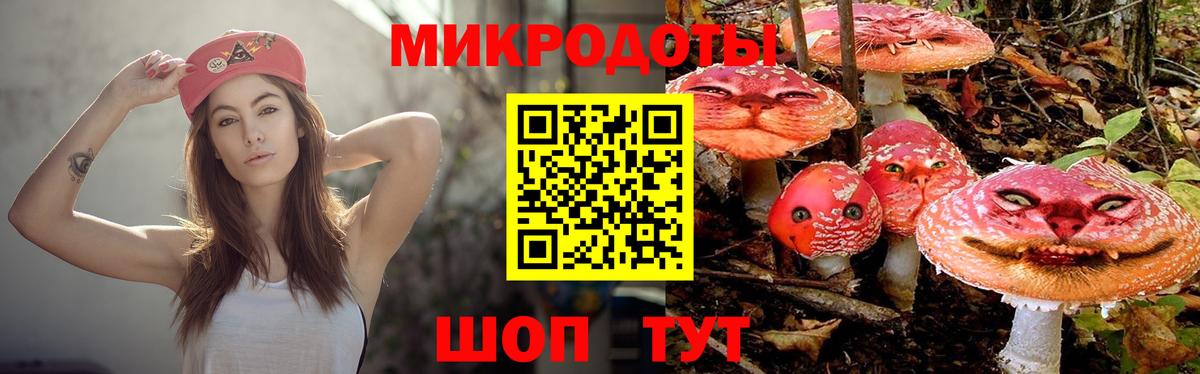 Псилоцибиновые грибы Psilocybe  Вход с VPN  Дальнегорск 
