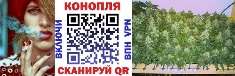цены   Дальнегорск  МАРИХУАНА сатива 
